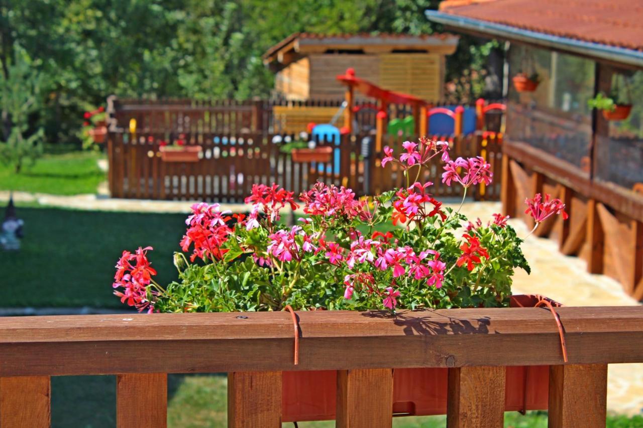 Sinjirite Complex Hotel Elena Bagian luar foto